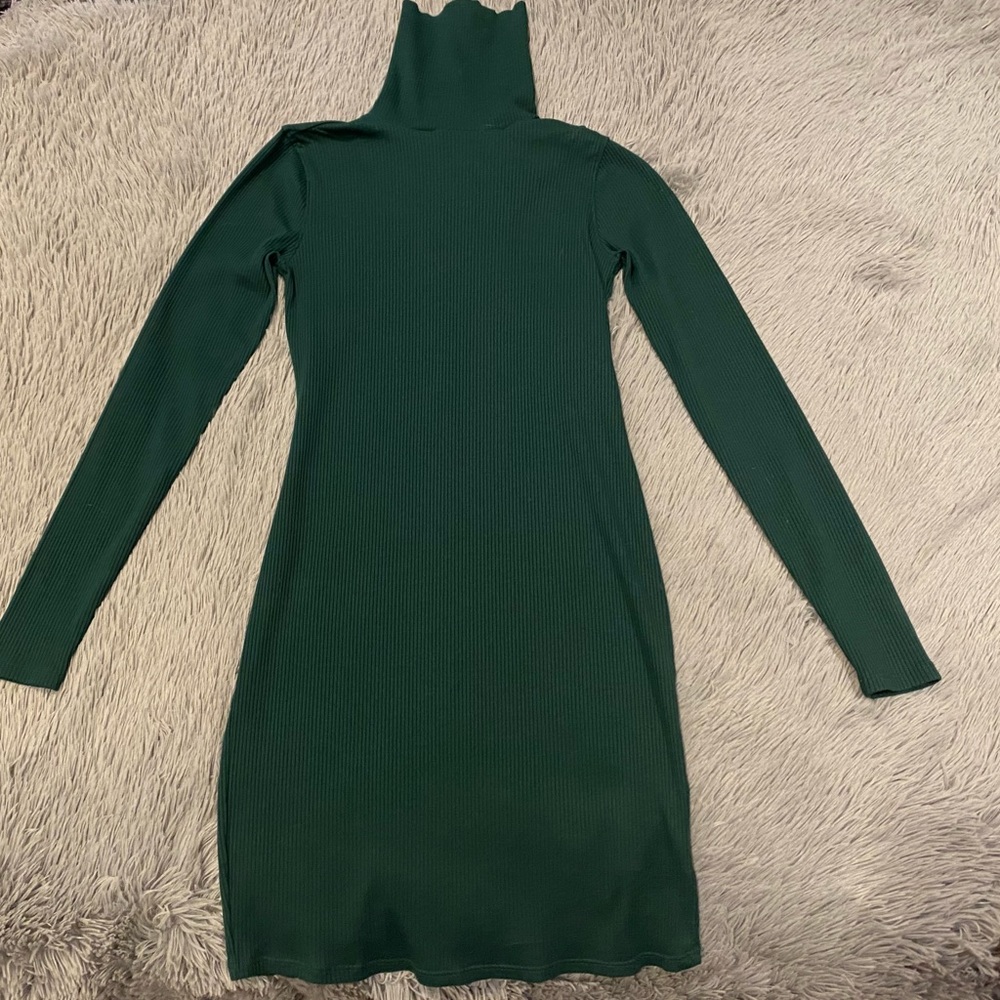 Dark Green WILD FABLE Turtle Neck Dress (Size M)